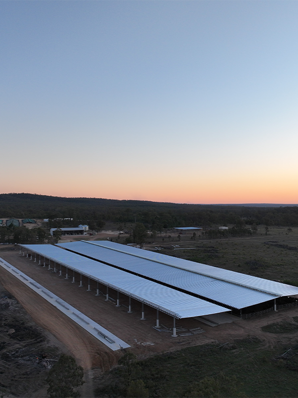 Feedlot Shed A Drone Photo Incomplete