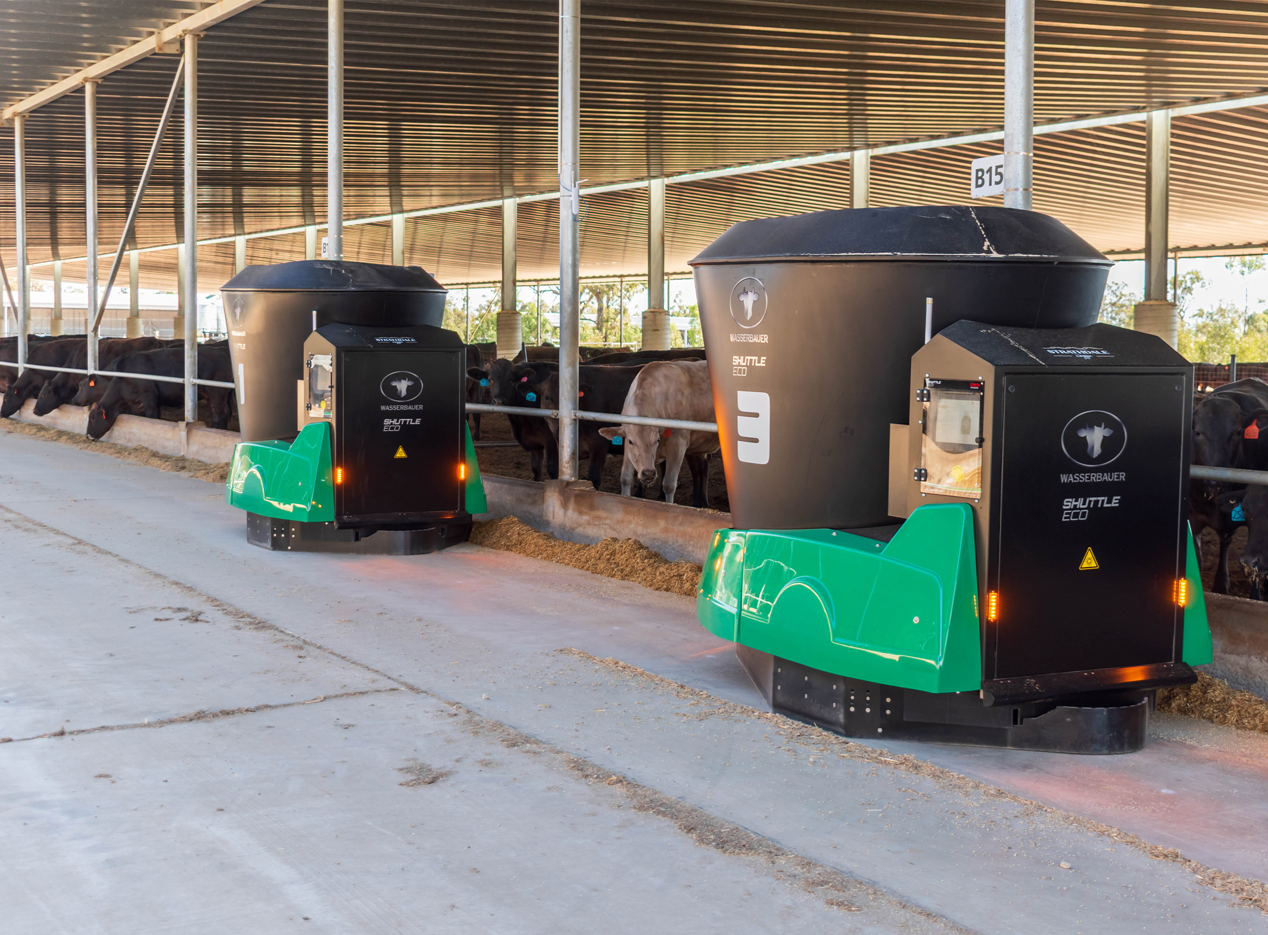 Strathdale Wagyu Feedlot