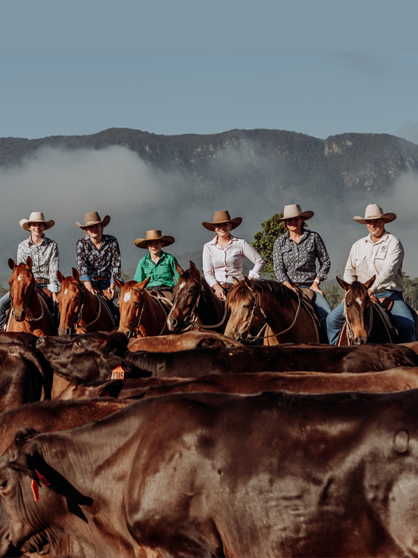 Hamblin Family Strathdale Blue Mountain