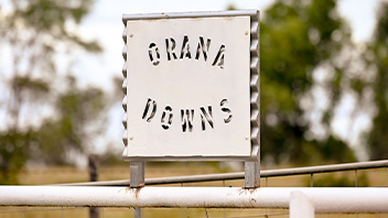 Orana-Downs Orana Downs