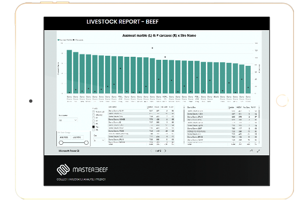 Strathdale Wagyu Genetics