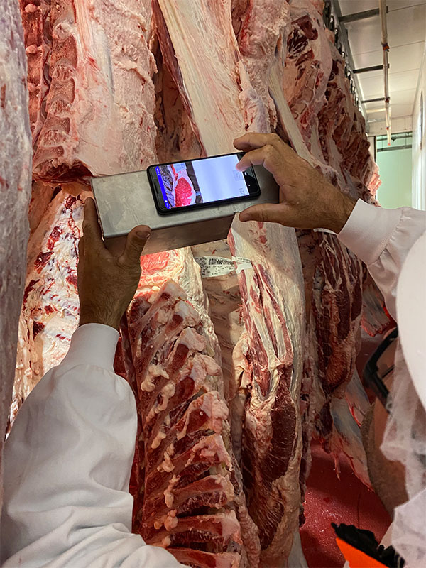 Strathdale Wagyu Traceable Cuts